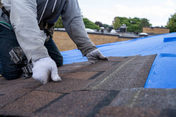 Asphalt Shingles Roofing in Beaumont, TX